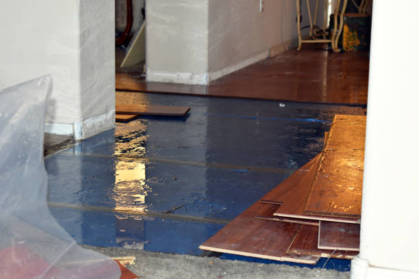 Professional Basement Flood Cleanup technician working in Asbury, IA